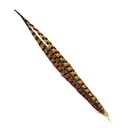 SHOR - RING-NECKED PHEASANT TAIL 18-20 IN