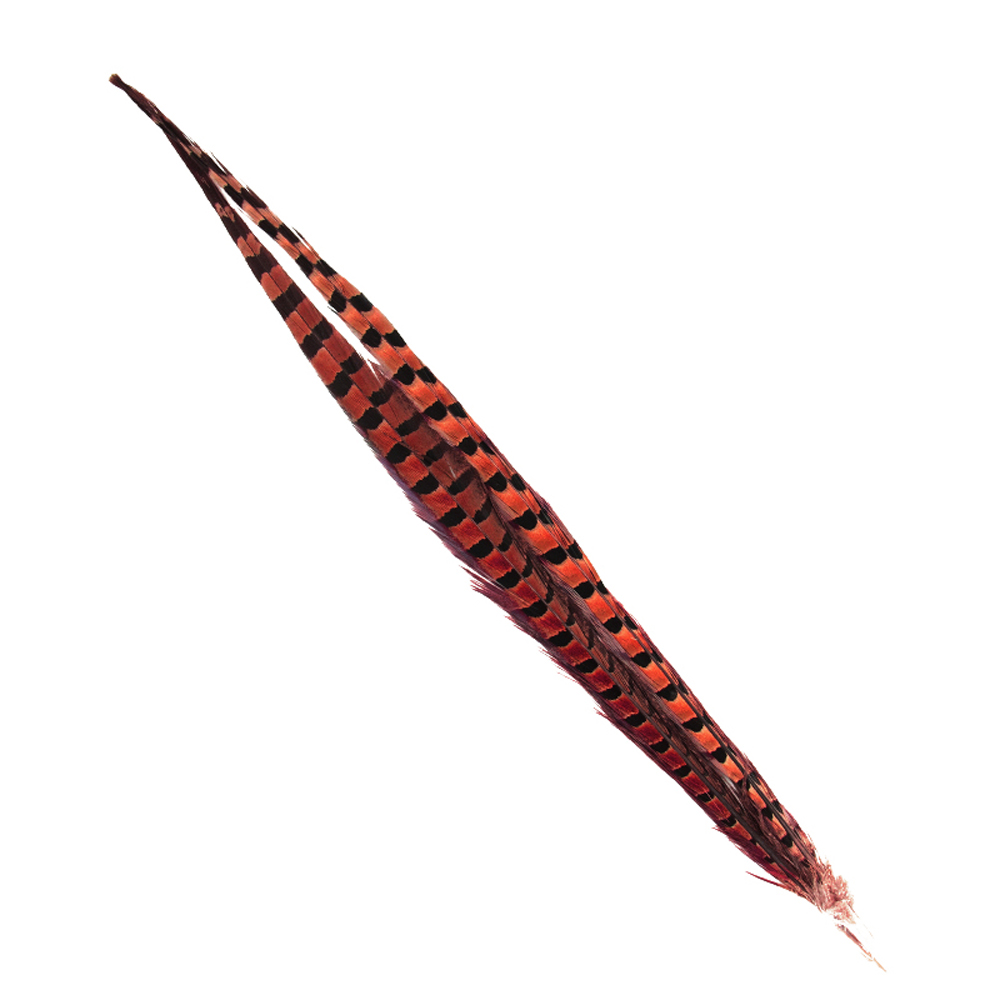 SHOR - RING-NECKED PHEASANT TAIL 18-20 IN