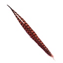 SHOR - RING-NECKED PHEASANT TAIL 18-20 IN