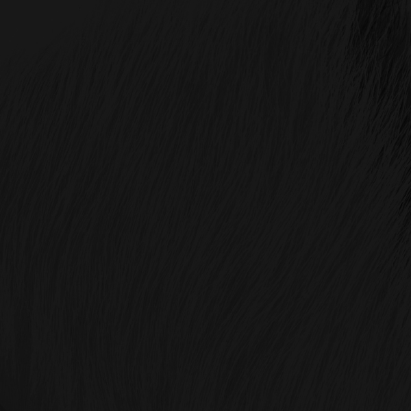 SHOR - CORPS DE VEAU