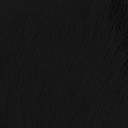 SHOR - CORPS DE VEAU