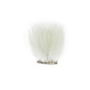 SHOR - OURS POLAIRE