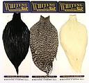 WHITING - COU DE POULE AMERICAIN