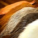 WHITING - COQ DE LEON COCK NECK