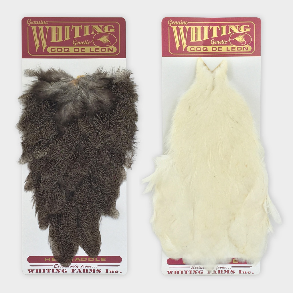 WHITING - COQ DE LEON HEN