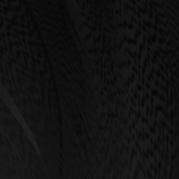 SHOR - MALLARD BRONZE SPEY