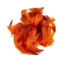 SHOR - FLANC DE SARCELLE TEINT