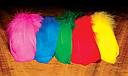 HARELINE - EPAULE OIE SELECT