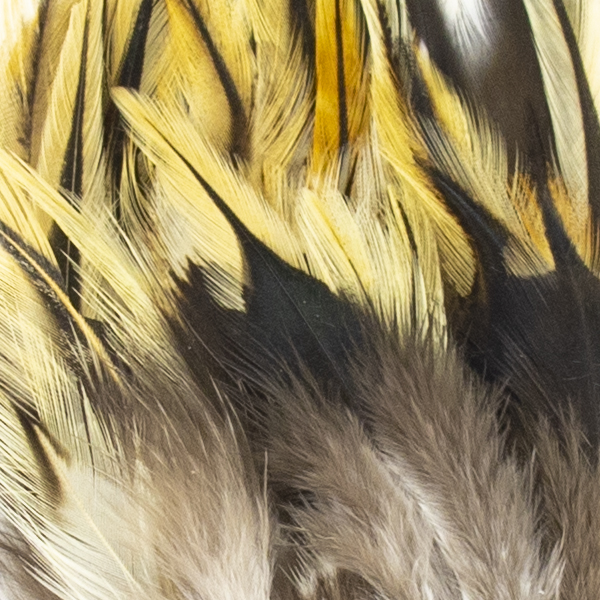 SHOR - HACKLE 3-5in