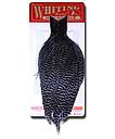 WHITING - HEN NECK