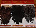 WHITING - HEN SADDLE