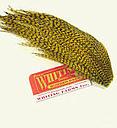 WHITING - BUGGER PACK