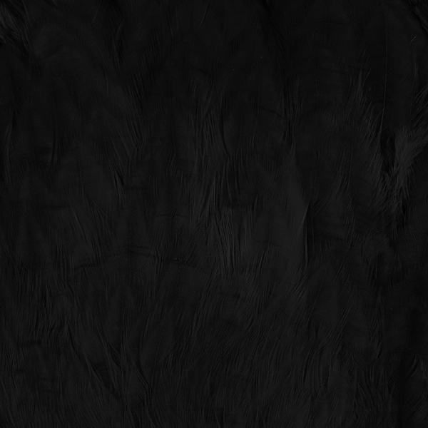 SHOR - COU DE POULE POUR SAUMON