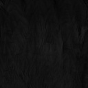 SHOR - COU DE POULE POUR SAUMON