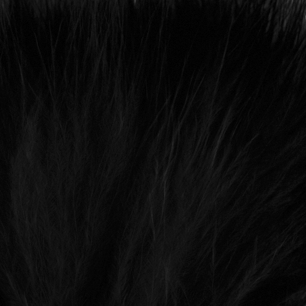 SHOR - MARABOU COUSU 4 PO