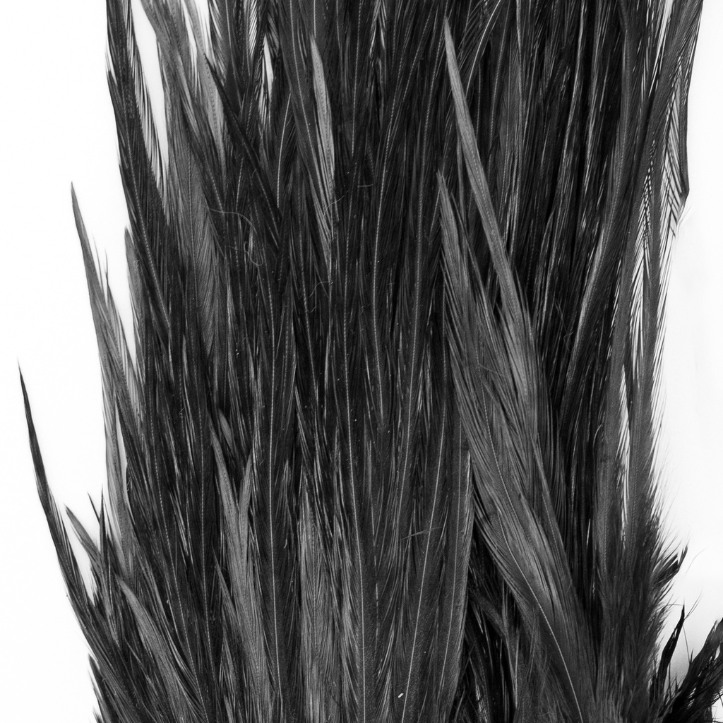 SHOR - GENETIC ROOSTER SADDLE
