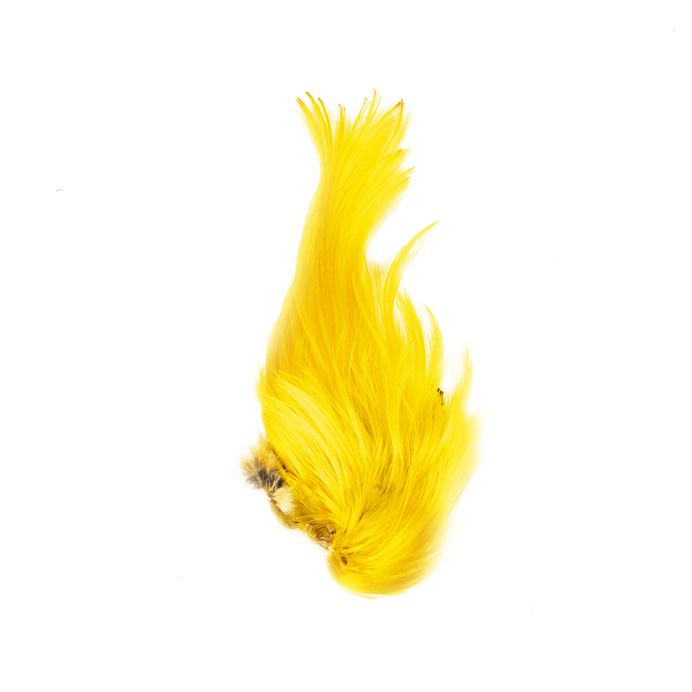 SHOR - GOLDEN PHEASANT CREST