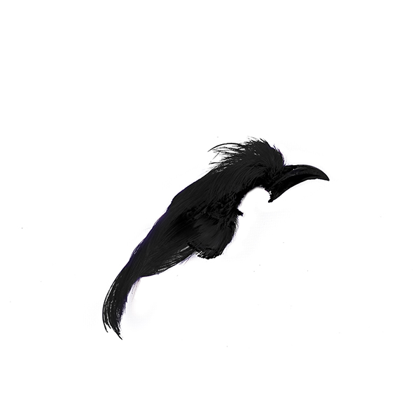 SHOR - GOLDEN PHEASANT CREST DYED