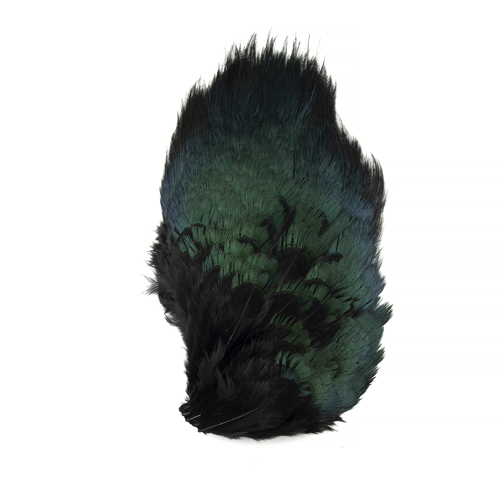 SHOR - RING-NECKED PHEASANT RUMP PATCH