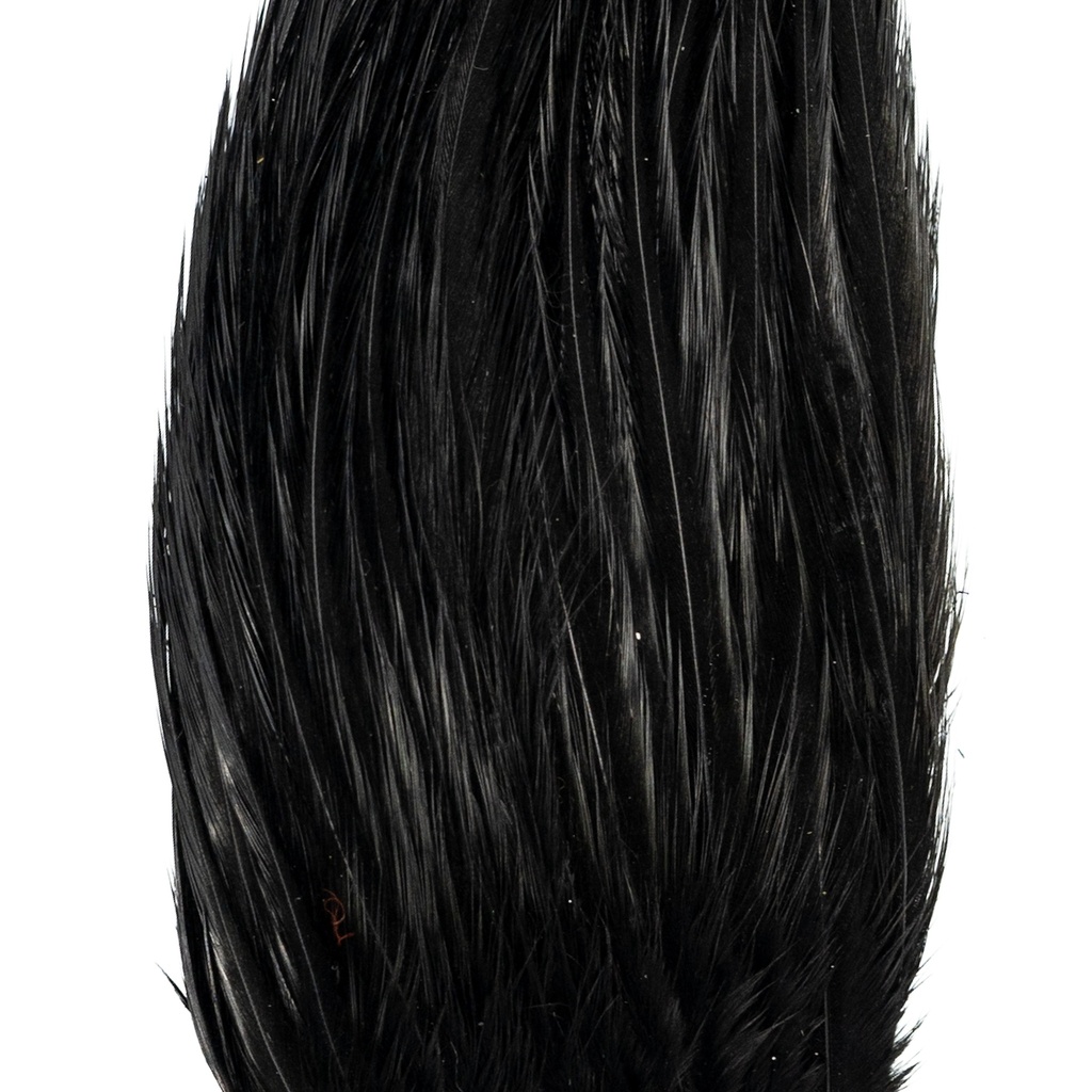 SHOR - GENETIC ROOSTER MINI-PACK