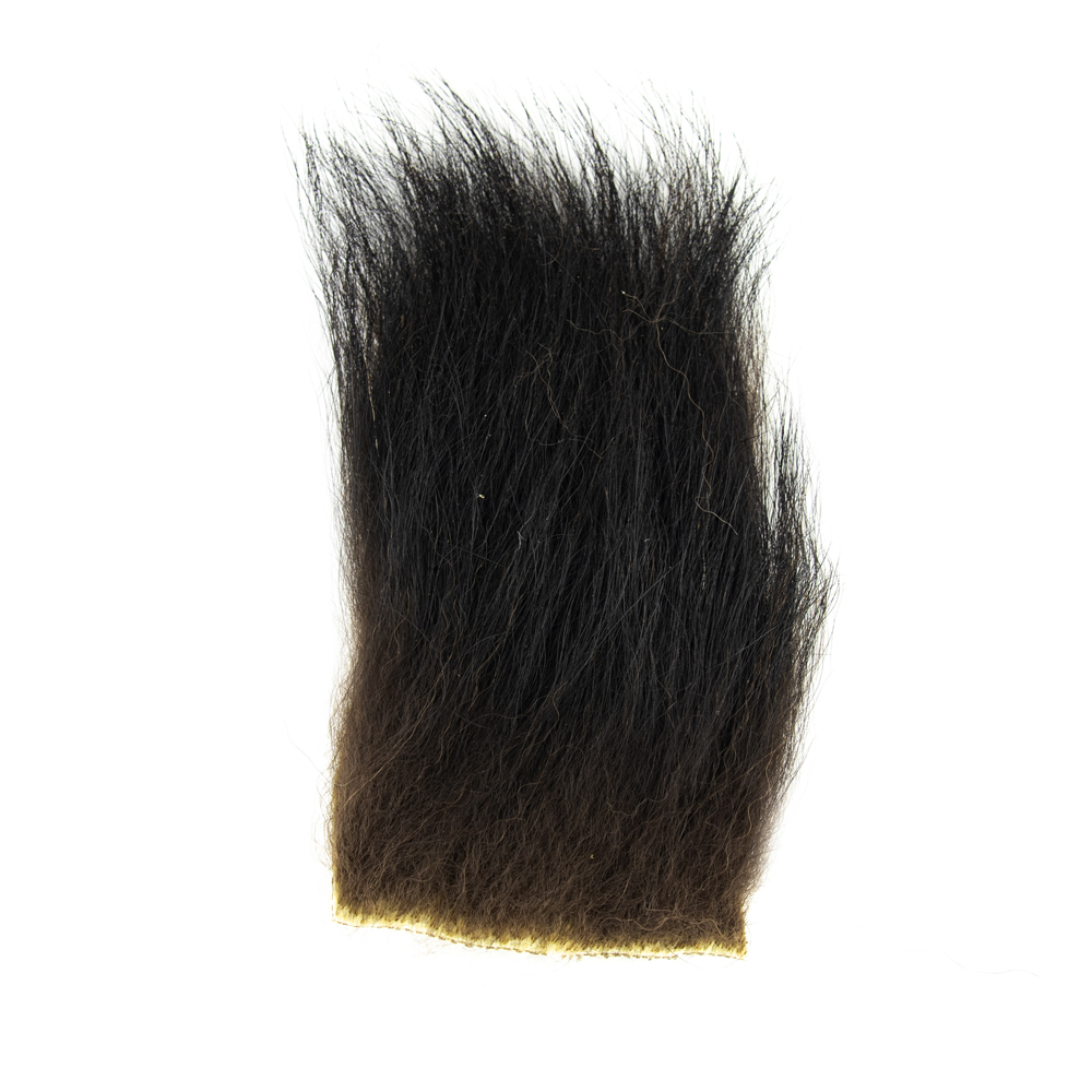 SHOR - BLACK BEAR