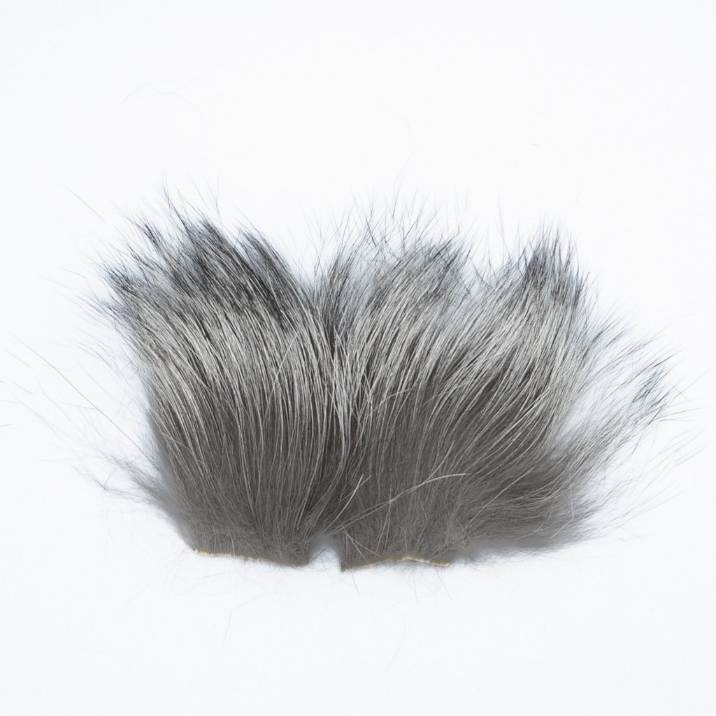 SHOR - RENARD ARGENTE