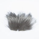SHOR - RENARD ARGENTE