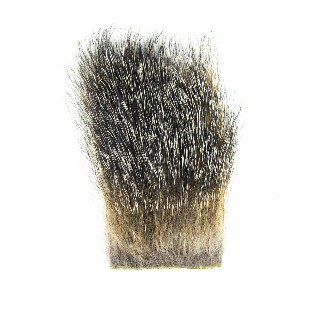 SHOR - RENARD GRIS