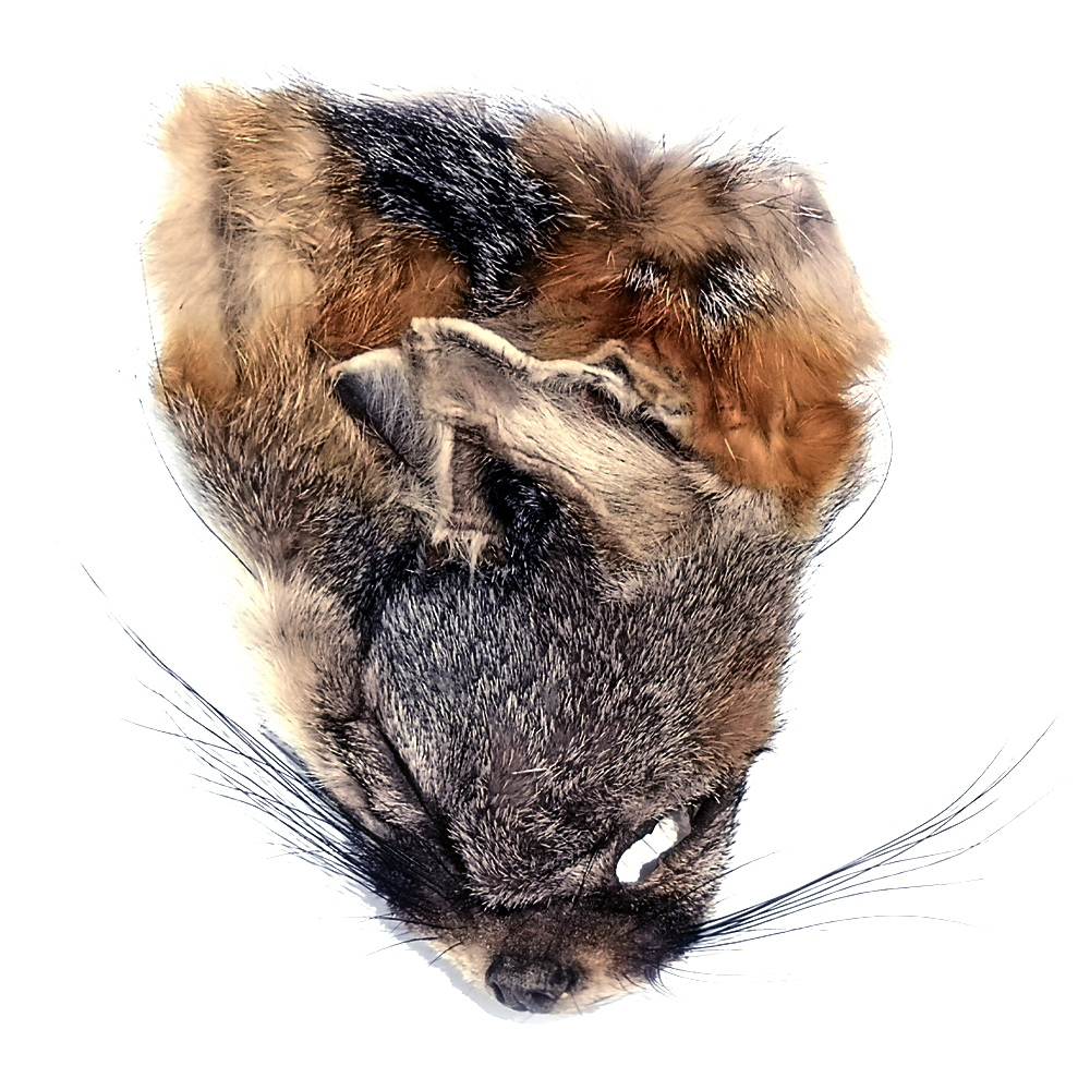 SHOR - TETE RENARD GRIS