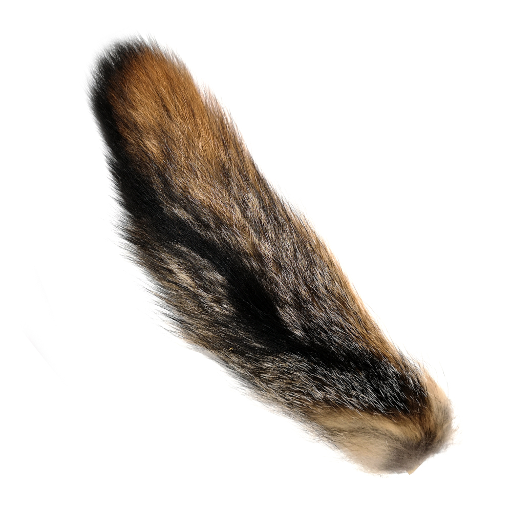 SHOR -  QUEUE DE RENARD GRIS