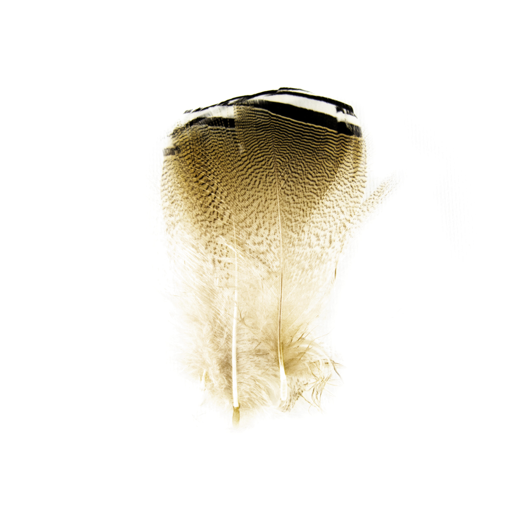 SHOR - CANARD BRANCHU - NOIR & BLANC (3PR)