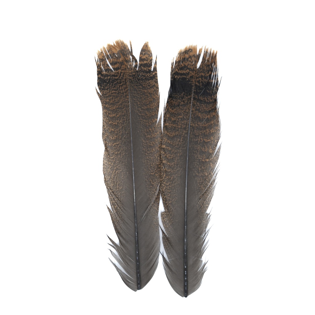 SHOR - OZARK TURKEY CINNAMON TAIL