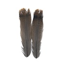 SHOR - QUEUE DE DINDE OZARK CINNAMON