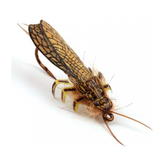 PRO SPORTFISHER - ADULT STONEFLY WING