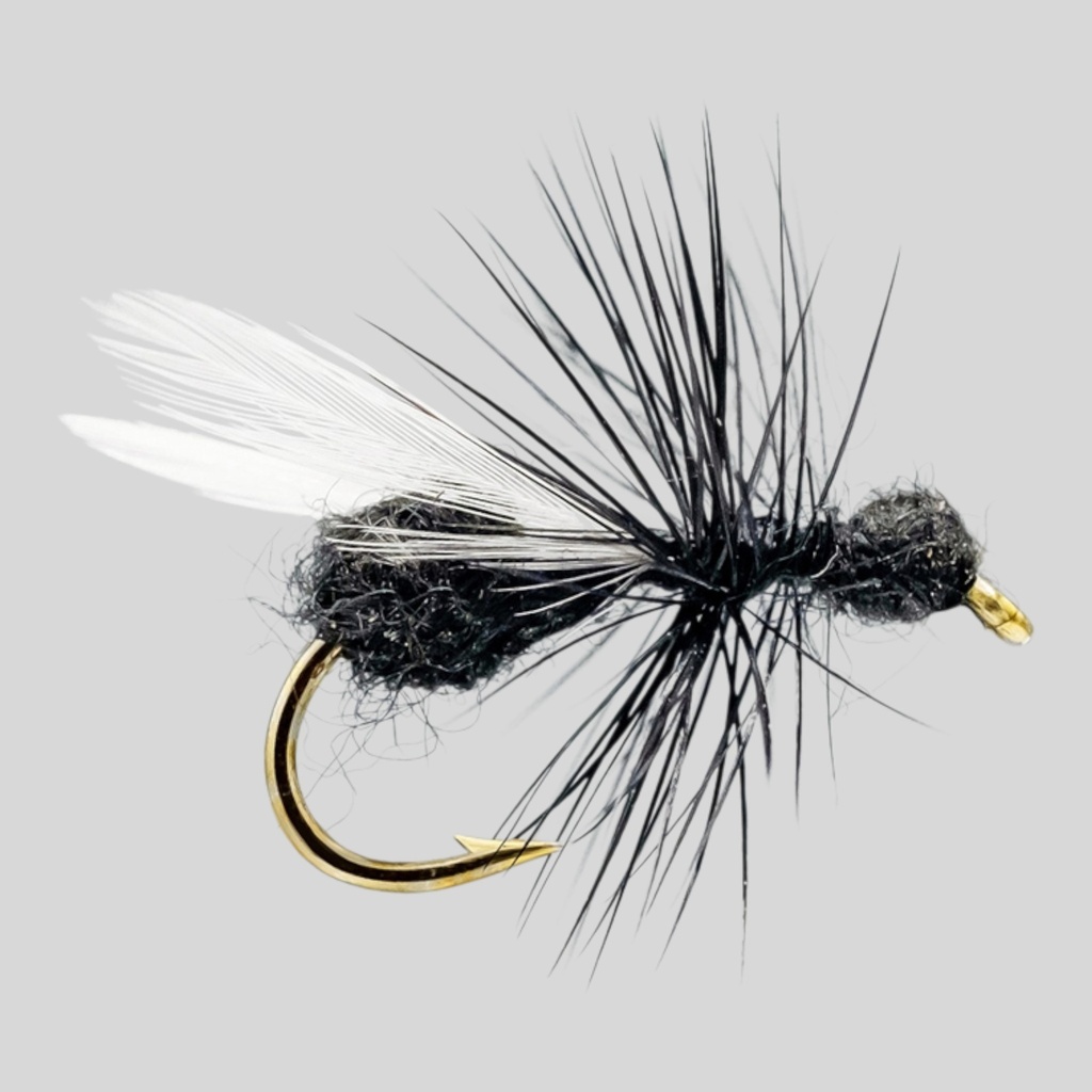 Flying Ant (SÈCHE)