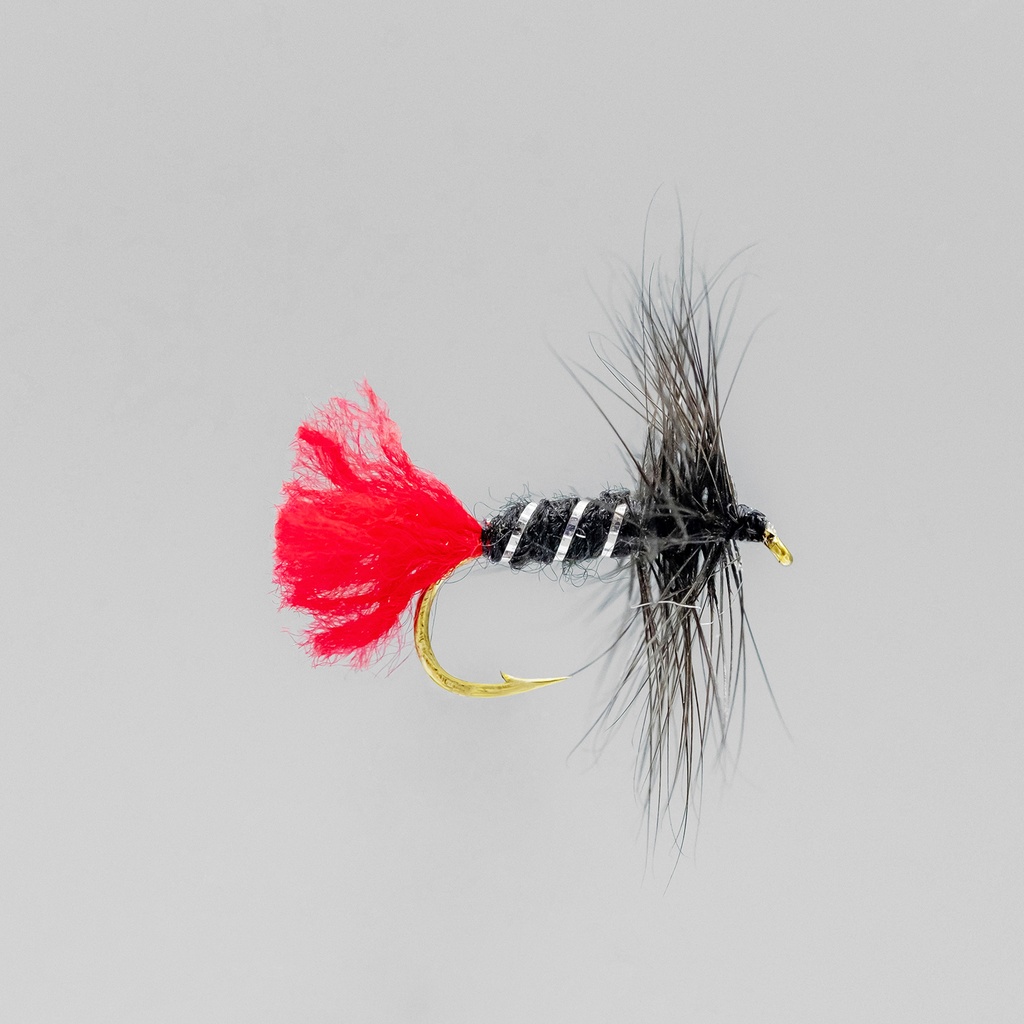 Black Zulu (SÈCHE)