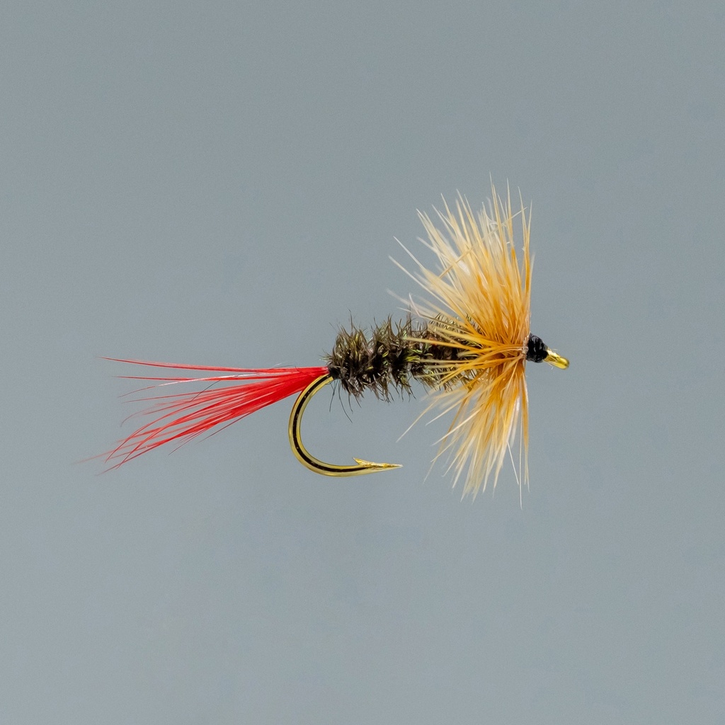 Brown Hackle (SÈCHE)