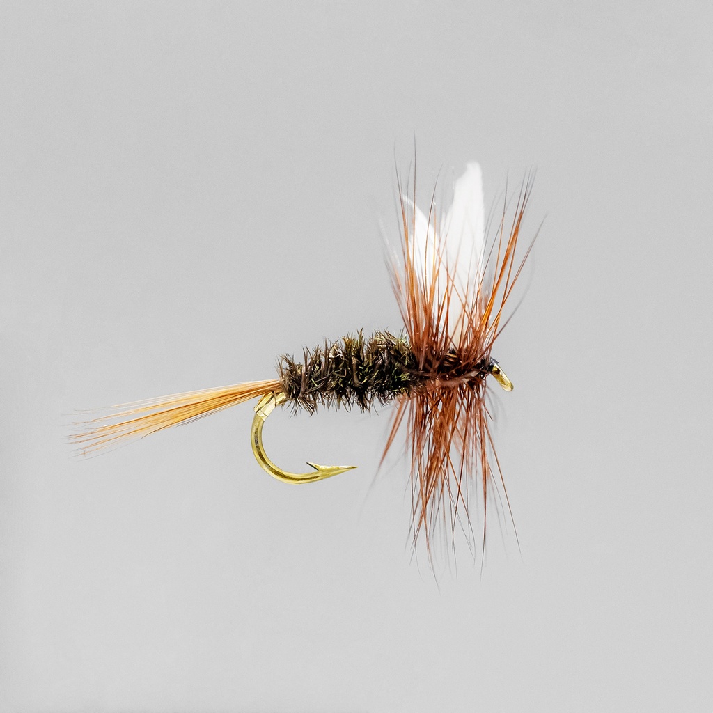 NEPTUNE FLIES - Coachman (DRY)
