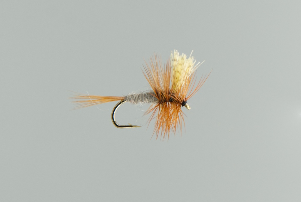 NEPTUNE FLIES - Dark Cahill (DRY)