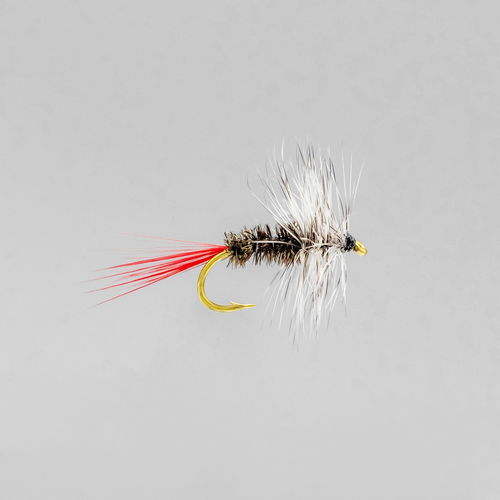 NEPTUNE FLIES - Grey Hackle (DRY)