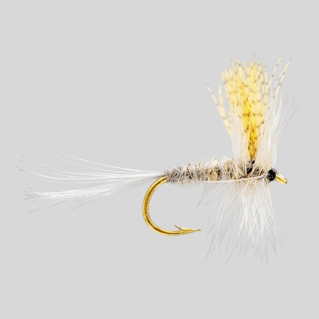 Hendrickson Dark (SÈCHE)