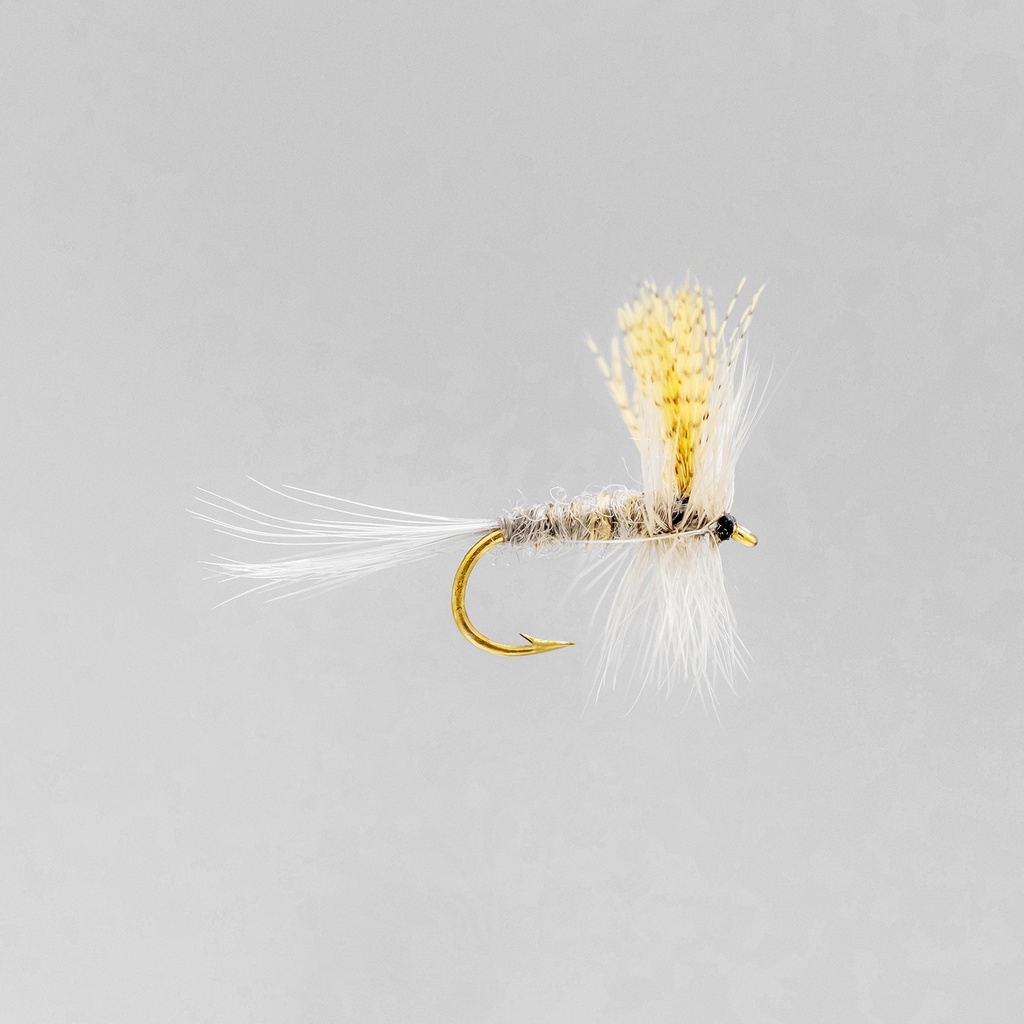 Hendrickson Dark (SÈCHE)