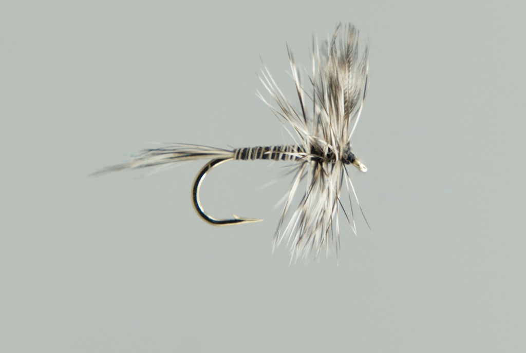 NEPTUNE FLIES - Mosquito (DRY)