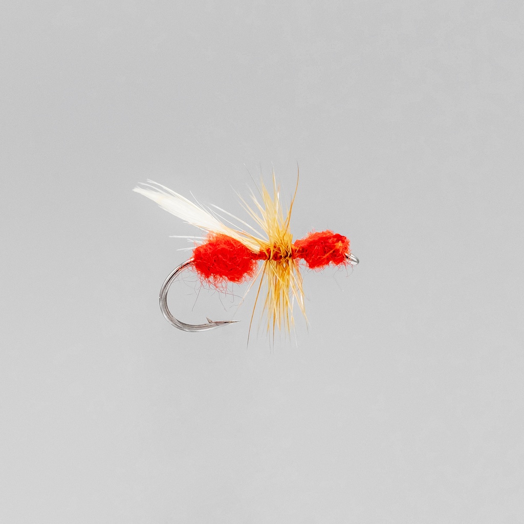 Red Flying Ant (SÈCHE)