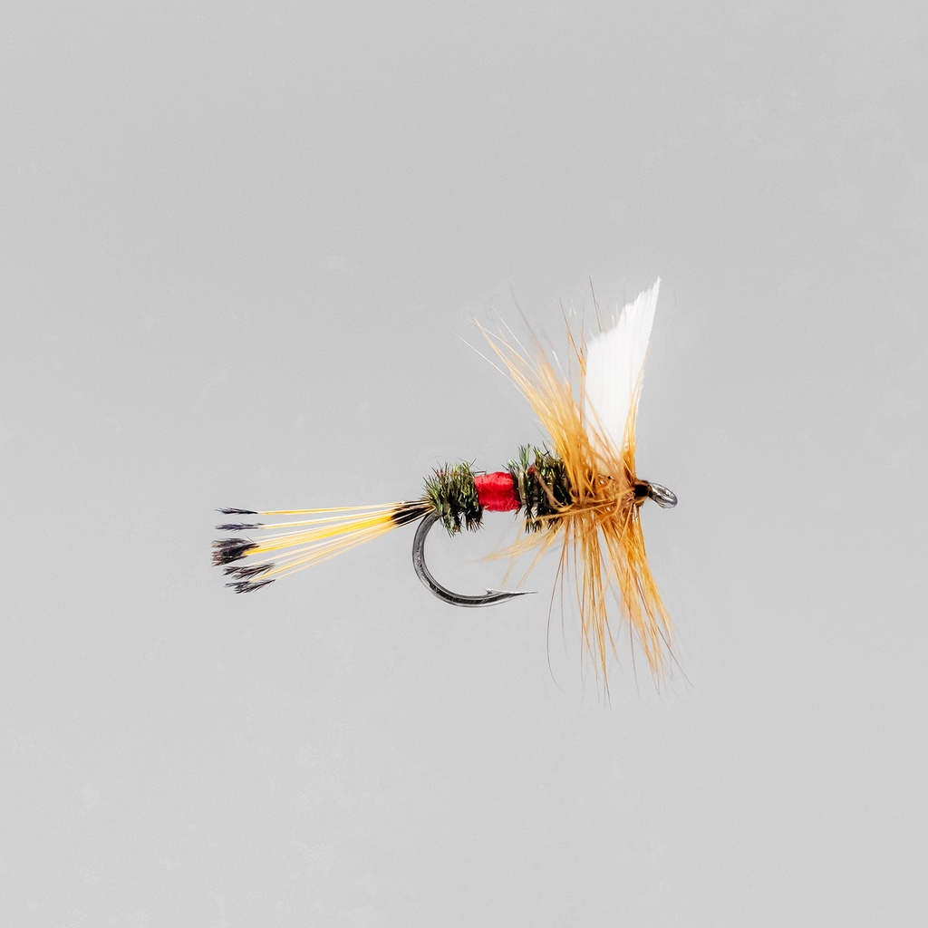 NEPTUNE FLIES - Royal Coachman (DRY)