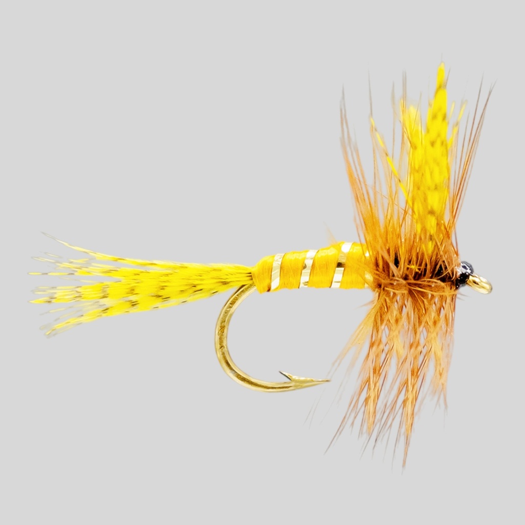 Yellow May 
