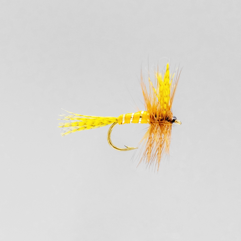 Yellow May (SÈCHE)