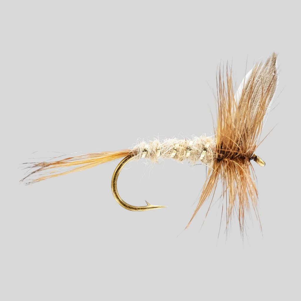 Hare's Ear 