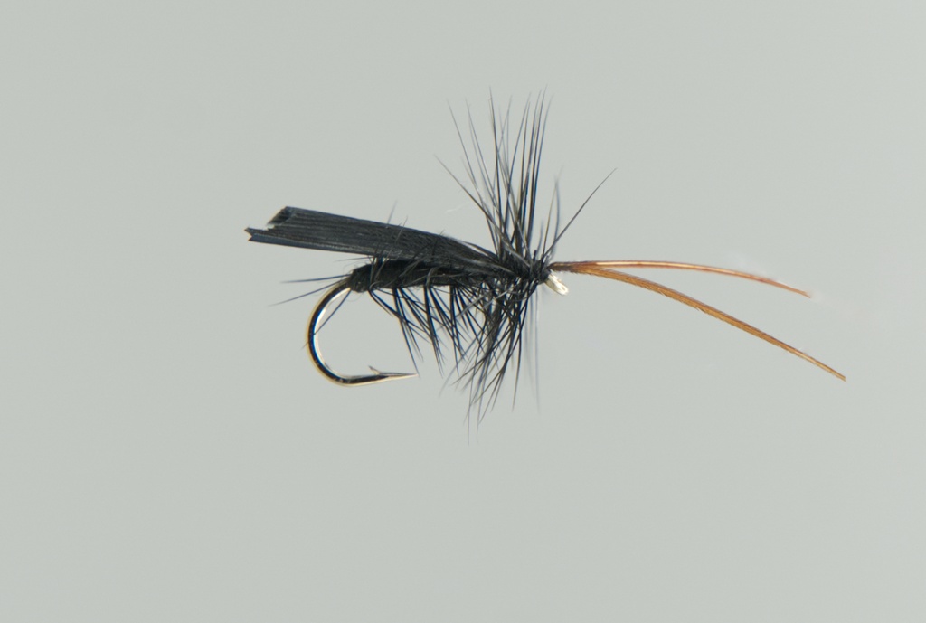 Black Tent Caddis (SÈCHE)