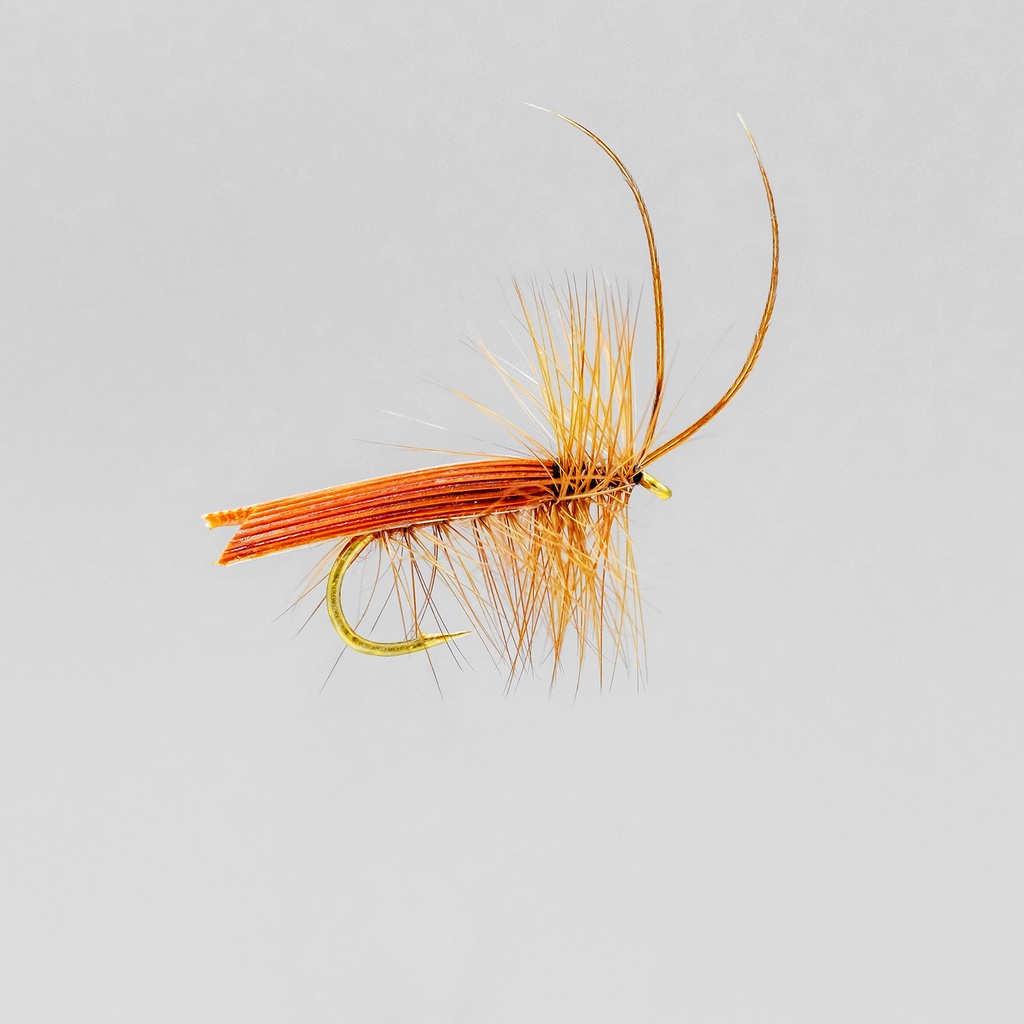 Brown Tent Caddis (SÈCHE)